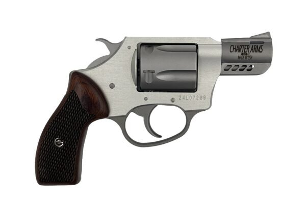 53802a9bf.jpg CHARTER ARMS COYOTE 380ACP SS 2" 5RD