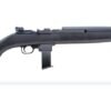 CI500.083.jpg CHIAPPA FIREARMS M1-22 CARBINE 22LR BL/PLY 10RD