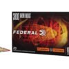 FUSION TIPPED 300WIN 180GR 20/200