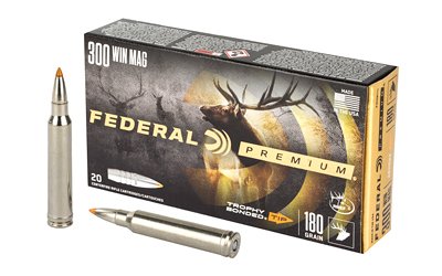 FEP300WTT1_1.jpg FED PRM 300WIN 180GR TRPHY TP 20/200