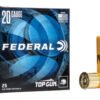 FETG209_1.jpg FED TOP GUN 20GA 2.75" #9 25/250
