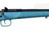 KEYSTONE SPORTING ARMS CRICKETT 22LR BL/BLUE SYN