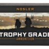 NOS61046_1.jpg NOSLER TG 243WIN 100GR PT 20/200