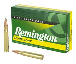 REM 3006 165GR PSP CL 20/200