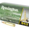 REM29041_1.jpg REM 308 WIN 180GR CLOK TIPPED 20/200