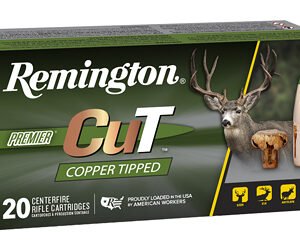 REM PRMRCUT CPR 30-06SPRG 165GR