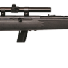 SV64FXP.png SAVAGE ARMS 64 SEMI-AUTO 22LR BL/SYN PKG