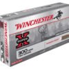 WNX300WSM_1.jpg WIN SPRX PWR PNT 300WSM 180GR 20/200