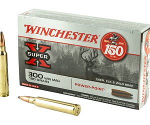WIN SPRX PWR PNT 300WIN 180GR 20/200