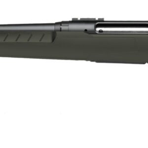 SAVAGE ARMS AXIS 2 243WIN BL/GRN 22" LH