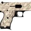 c9money3b3f.jpg HI-POINT C-9 9MM MONEY 8+1 3.5"