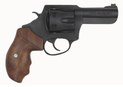 ch63546ea84.png CHARTER ARMS THE PROFESSIONAL 357MAG 4.2"