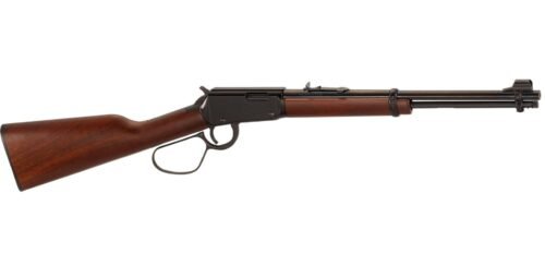 h001l363a.jpg HENRY REPEATING ARMS LEVER ACTION 22LR LARGE LOOP