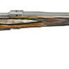 hawkeye-predator.jpg RUGER HAWKEYE PREDATOR 204RUG SS/LAM