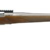 https3A2F2Fmedia.chattanoogashooting.com2Fimages2Fproduct2FUR571252FUR57125.jpg Ruger Hawkeye Hunter Rifle 204 Ruger 5rd Capacity 24" Barrel American Walnut