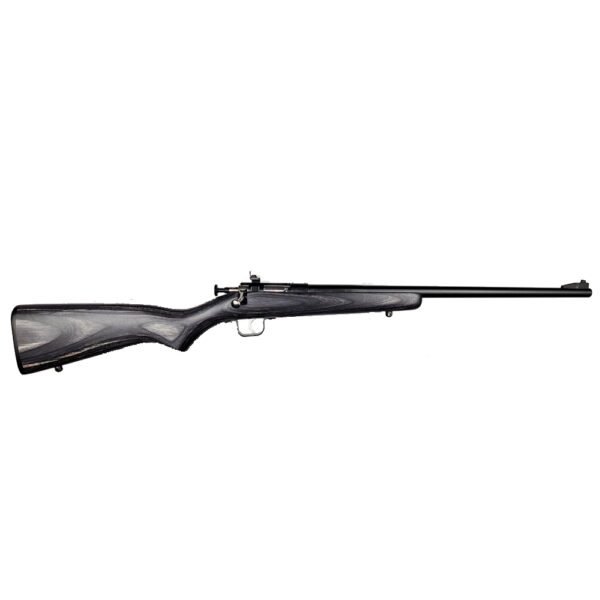 ksa2244blacklaminatebluedb037.jpg KEYSTONE SPORTING ARMS CRICKETT 22LR BL/BLACK LAM