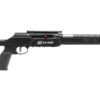 lite2e36.jpg SAVAGE ARMS A22 PRECISION LITE 22LR 18" CF