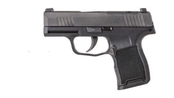 SIG SAUER P365 380ACP BLK 10+1 NS