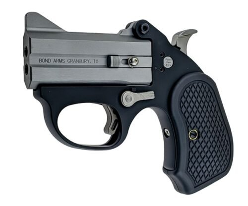 stingerfb2b6d.jpg BOND ARMS STINGER FB 22MAG SS 3" FS