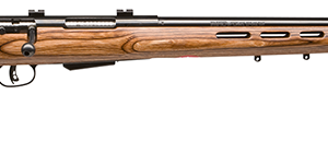 SAVAGE ARMS 25LV 204RUG BL/LAM THBHL DBM