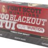 A300190SCV1SS.jpg FORT SCOTT 300 AAC 190GR TUI - SOLID COPPER 20RD 25BX/C