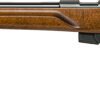 ANSCHUTZ 1761L HB MPR 22LR - 21.4" BLUED/HARDWOOD 2-STG LH