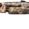 G512430390.jpg WINCHESTER SXP LONG BEARD - 12GA 3" 24"VR MOSSY OAK DNA