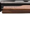 G512451692.jpg WINCHESTER SXP HIGH GRADE 20GA - 3" 28"VR WALNUT HIGH GLOSS