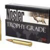 NOSLER 300WIN 180GR AB 20/200