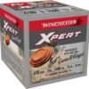 https3A2F2Fmedia.chattanoogashooting.com2Fimages2Fproduct2FWNWE413GT62FWNWE413GT6_1 Winchester Xpert Steel Shotshells .410 ga 3" 3/8 oz 1400 fps #6 25/ct