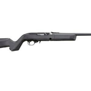 RUG 10/22 22LR 10RD B 4MAGS TL