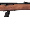64g SAVAGE ARMS 64 SEMI-AUTO 22LR BL/WD 10+1