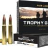 AN61058 NOSLER TROPHY GRADE 338 WIN - MAG 210GR ACCUBOND 20RD 10BX/C