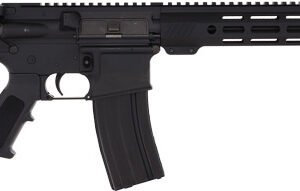 BUSHMASTER QRC II 223 - 16" BARREL 30-SHOT BLACK