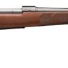 WI535200210-1.jpg WINCHESTER M70 FEATHERWEIGHT 6.8WST NS