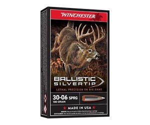 WIN BLSTC TIP 3006SP 180GR 20/200