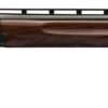 BRN CIT CXT OU 12M/32MC