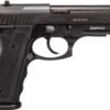 1-917C41.jpg TAU 917C 9MM PST 18RD BLK
