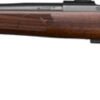 CZ 600 ST2 AMERICAN 6.5 CM - 24" BLUED WALNUT STOCK
