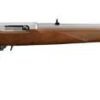 RUGER 10/22 22LR SS/WD 22"