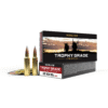 https3A2F2Fmedia.chattanoogashooting.com2Fimages2Fproduct2FNO601062FNO60106-1.png Nosler Accubond Long Range Trophy Grade Rifle Ammunition .300 WSM 190 gr PT 2875 fps 20/ct