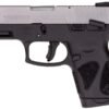 https3A2F2Fmedia.chattanoogashooting.com2Fimages2Fproduct2FTX1G2S9392FTX1G2S939_1.jpg Taurus G2S 9mm Luger 7rd Magazine 3.2" Barrel Stainless Slide/Black Grip