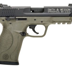 S&W MP22C 22LR 3.56FDE TB