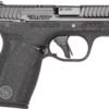 S&W BG2.0 380 12RD B NTS NS
