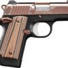 3300173.jpg KMB MICRO 380 RG 380ACP 2.75S
