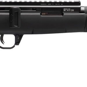WAI HAM FRC B1 22LR BLK 10RD