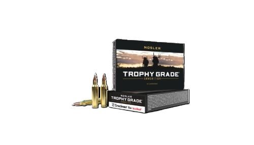 A60152 NOSLER TROPHY GRADE 22CM - 70GR ACCU TIP 20RD 10BX/CS