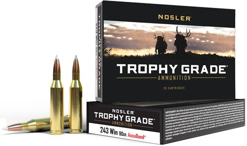 AN48263 NOSLER TROPHY GRADE 243 WIN - 90GR ACCUBOND TIP 20RD 10BX/CS
