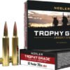 AN60118_1 NOSLER TROPHY GRADE LR 30 - NOSLER 210GR ABLR 20RD 10BX/C