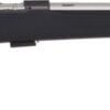 G02395 CZ 457 AMERICAN 22LR 20.5" SS - THREADED BBL. BLACK STOCK